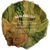 maan_paalliset_juliste